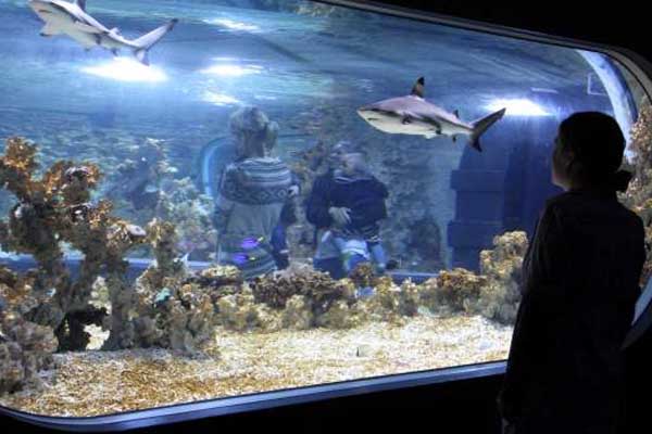 Acuario de Bergen